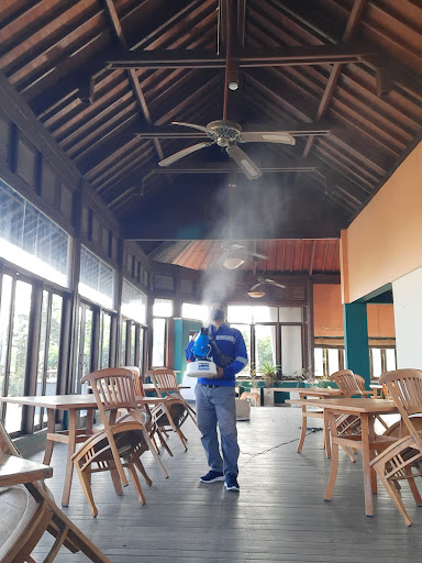 Bali Pest Control : Jasa Fogging - Anti Rayap - Termite Control
