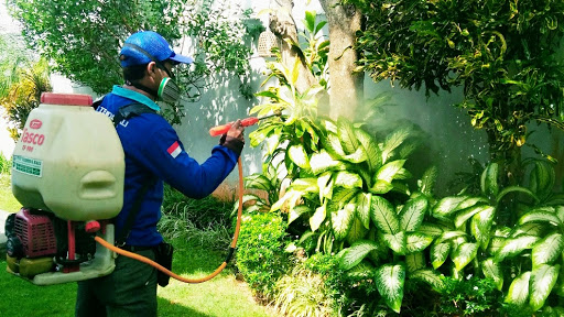 Bali Pest Control Organic