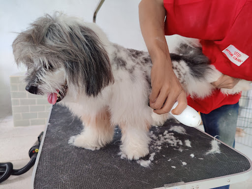 BARKWELL Pet Grooming & Cafe