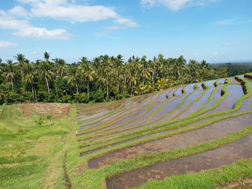 Jimbaran Property & Land for sale in Bali