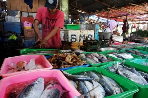 Ikan laut segar Denpasar bali