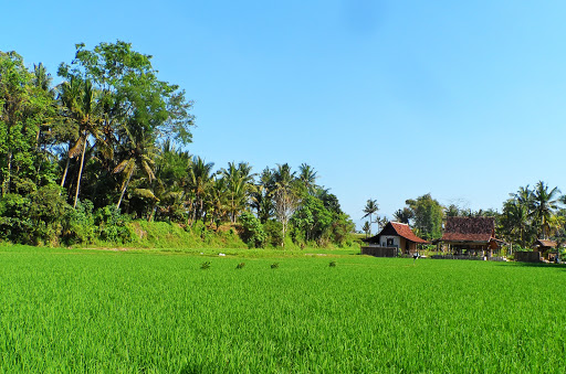 Bali Farming - Farm Tours