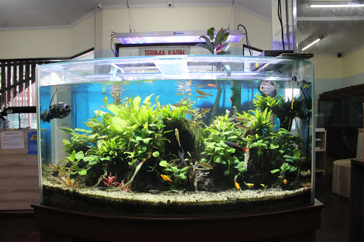 Bali Reef Aquarium Flagship Store