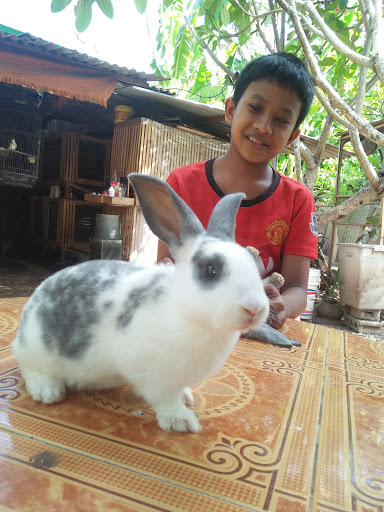 Uya Rabbit Farm