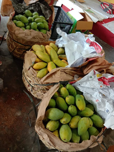 Distributor jeruk kintamani
