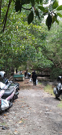Tempat bersih mangrove