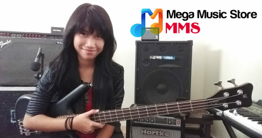 Mega Music Store (MMS)