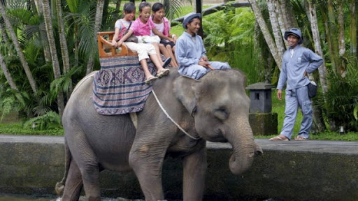 Bali Elephant Riding