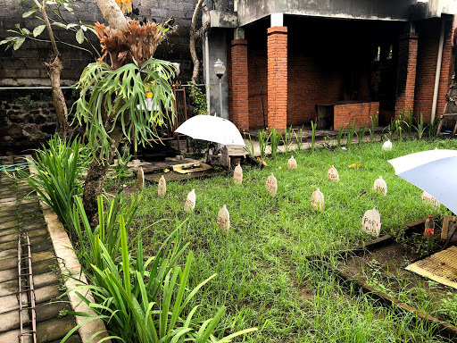 Bali Pet Cremation
