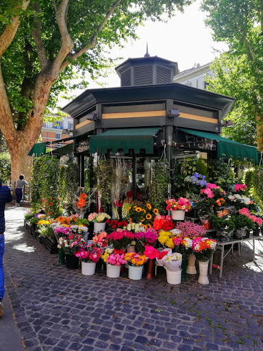 Chiosco Cairoli di Alice Marani - Vendita di fiori e piante