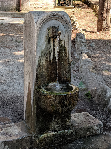 Drinking water fountain