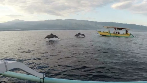 Sewa Perahu Di Lovina - Tiket Dolphin Lovina -