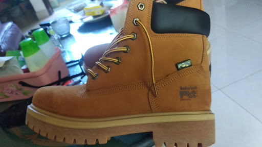 Timberland BSC