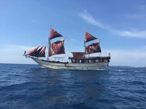 Diving-CruiseIndonesia-com