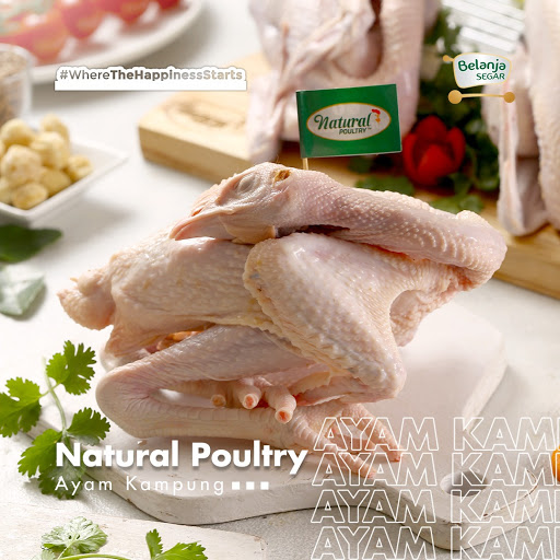 Belanja Segar BALI by Natural Poultry - Produsen Ayam Kampung & Ayam Probiotik Organik Terpercaya