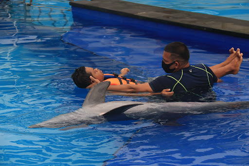 Bali Dolphin Therapy