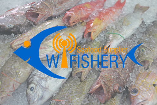 Wi Fishery Seafood Supplier