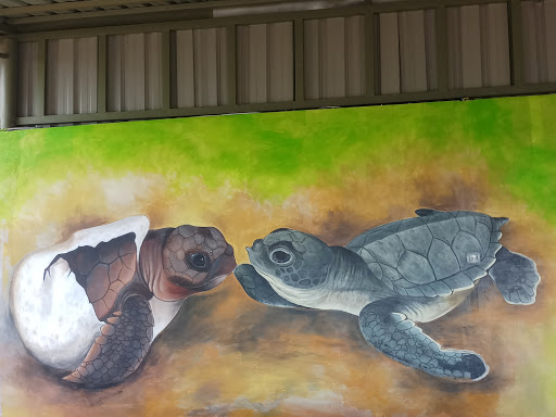 LECERIA turtle Farm