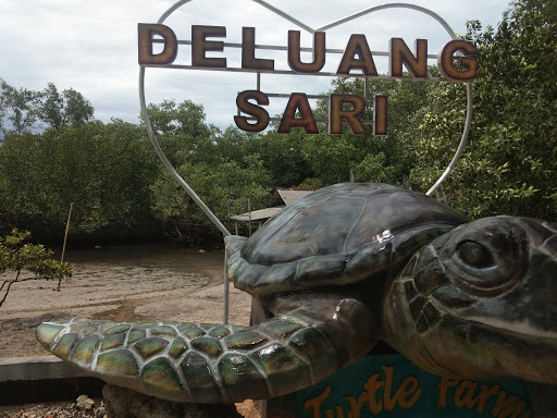 DELUANG SARI Turtle Farm