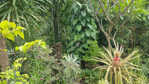 Sari Bunga Art & Garden