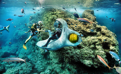 Cool Divers BOND Safari Paguera