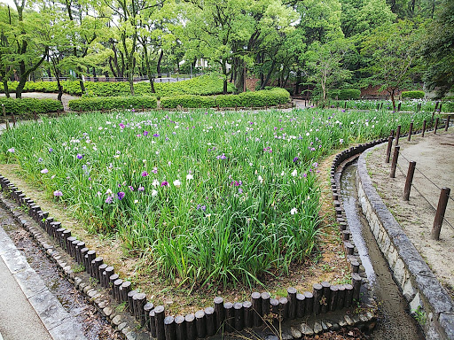 菖蒲苑・日本庭園