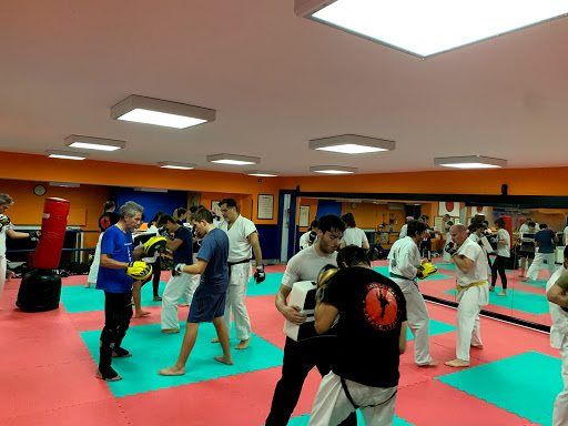 Shinseikai Fighting Karate Roma presso Dojo Judo Club Ferreri