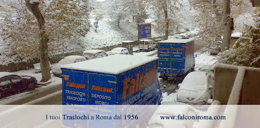 Falconi Transport Roma