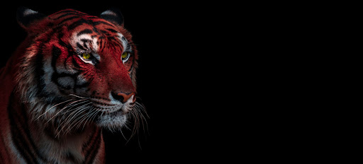 Red Tiger Design
