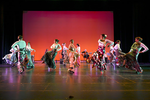 Algeciras Flamenco Associazione Culturale