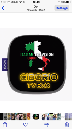 Italian Television Network