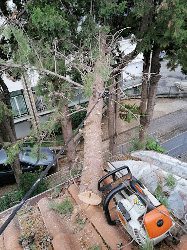 TREE-CLIMBING.IT