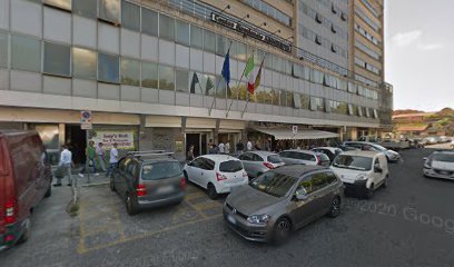 Università Degli Studi Roma Tre - URP, Centro Linguistico di Ateneo