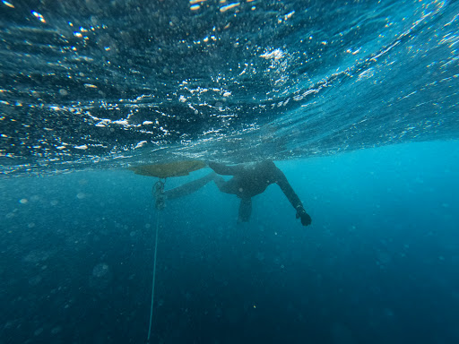 FIFTY SHADES OF BLUE - Ecole professionnelle : Apnée - Snorkeling