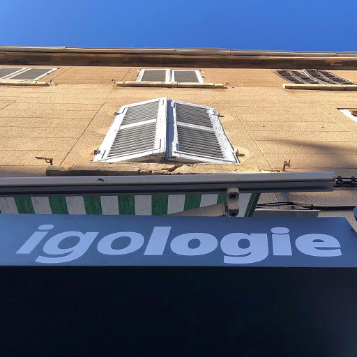 Igologie