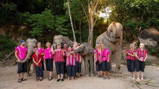 Elephant Family Phuket