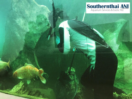 Southernthai ANI (All about Aquarium Services)