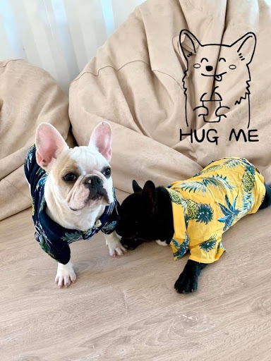 Hug me Dog Shower&Hotel