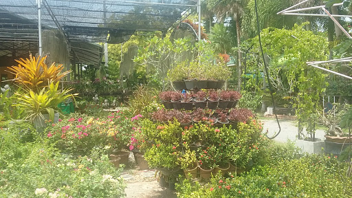 Wangtapee Gardencenter
