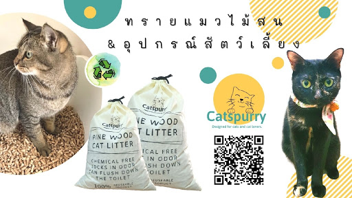 Catspurry ทรายแมวไม้สนและอุปกรณ์สัตว์เลี้ยง : Pine wood cat litter and pet supplies
