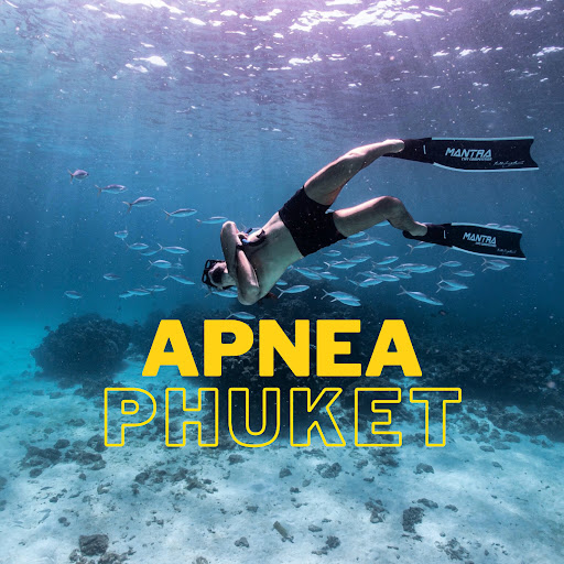 ApneaLife - Phuket . Freediving Courses & Spearfishing