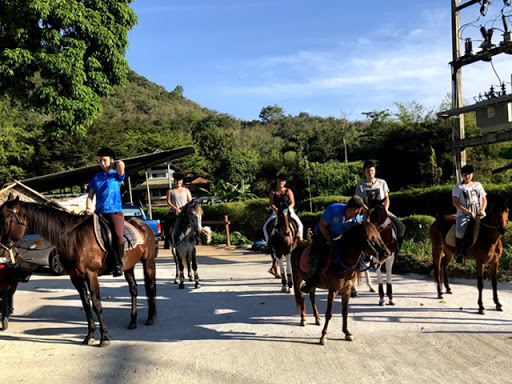 Chalong Horseback Riding