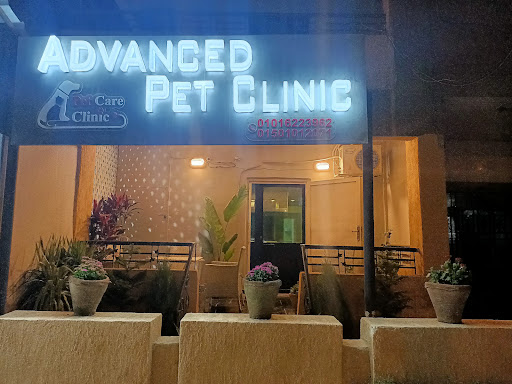 Advanced pet clinic-العياده البيطريه المتقدمة
