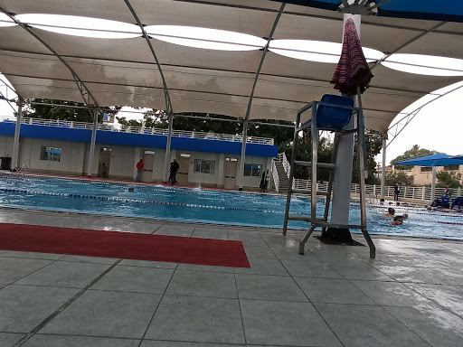 مجمع حمامات سباحة البطلة فريدة عثمان بمركز شباب الجزيرة