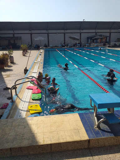 حمام سباحة مركز شباب روض الفرج