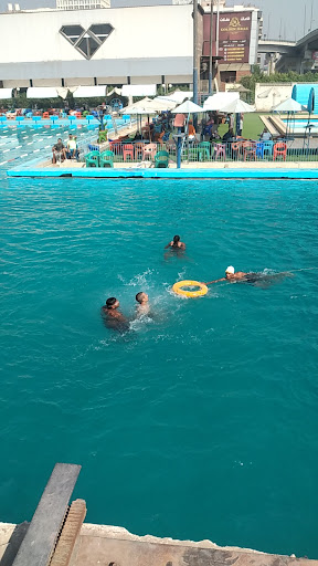 أكاديمية دولفين مصر للسباحة