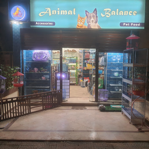 Animal Balance