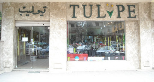Tulipe Egypt