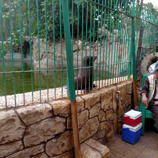 حديقة حيوانات القاهرة - البوابة الرئيسية