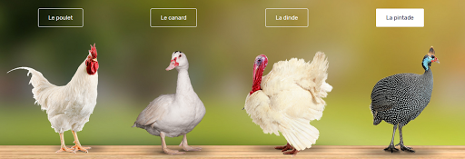 Poulets Fermiers de Provence